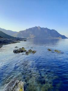 Il bacio del sole img33