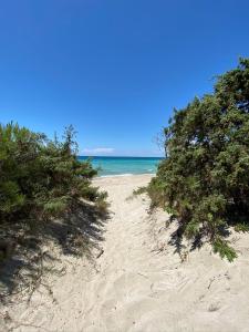 La Fenice sulla spiaggia