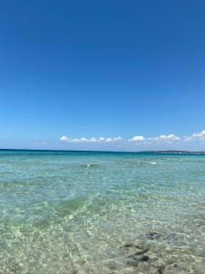 La Fenice sulla spiaggia