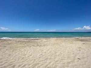 La Fenice sulla spiaggia