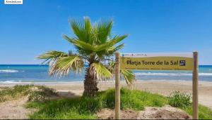 Bajo con gran terraza en Ribera de Cabanes