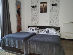 B&B / Chambres d'hotes Cleome : photos des chambres