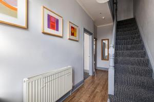 Knoclaid Sparkle Stays