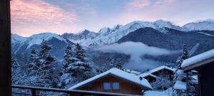 Appartements New Spacious Appart. Incredible view of Mt Blanc : photos des chambres
