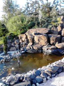 Vadvirág vendégház