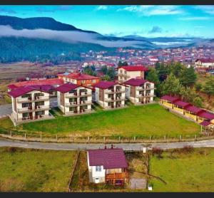 Вили Елеганс Сърница