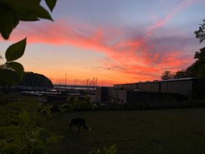 Ferienwohnung Yachthafen-Fördeblick (Glück 2)