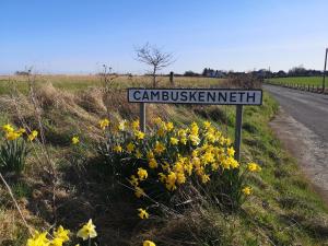 The Cambus Flat Cambuskenneth Stirling