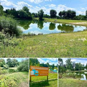 Visitez lAlsace, Europa Parc et Rulantica E62