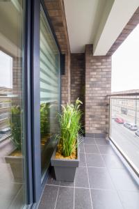 Apartament przy Fabrycznym