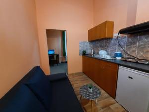 One-Bedroom Apartment room in Pension City Center & L`Opera