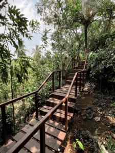 Cinnamon View Lodge Mirissa