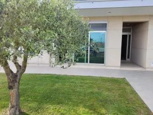 Olive Ap. - Pardelhas