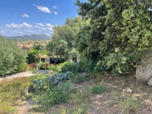 El encinar de Gabino