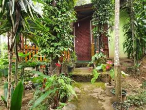 Green Heaven Lodge - إيلا