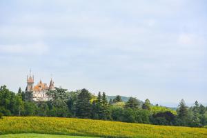 Hotels Chateau de Cadres : photos des chambres