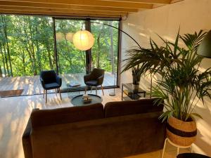 Puk Puk. Domy w koronach drzew.