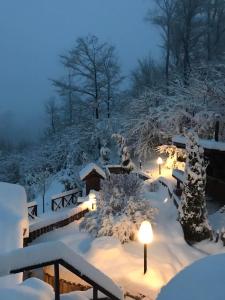 Zlatibor Vila Janjić