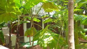 Alojamiento El Bosque