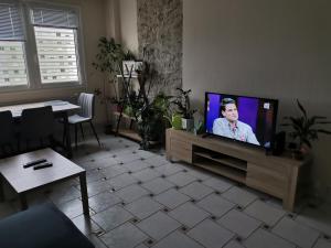 Sejours chez l'habitant Nancy , chambres privees et appartement : photos des chambres