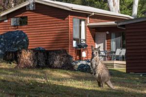 Wonderland Cottages
