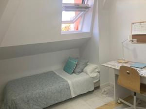 Colegio Mayor Careu - Women Only - University Community, Seville ...