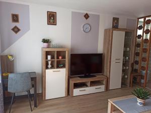 Apartment Nevela