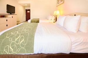 Queen Room with Two Queen Beds - Non-Smoking room in Comfort Inn & Suites Airport Reno