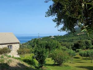 Maisons de vacances Holiday Home Plage de Saleccia by Interhome : photos des chambres