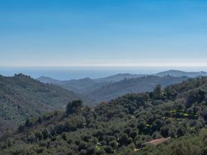 Apartment Verde by Interhome