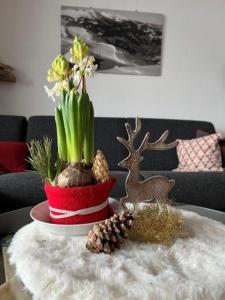 Ferienwohnung Alpenherz