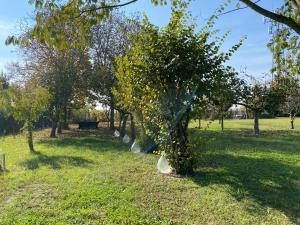 Balabuska Rooms & Garden