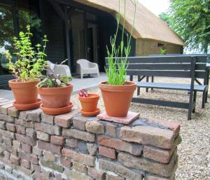 B and Be Happy Friesland