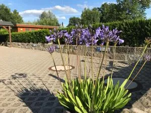 Kaitzbach-Idylle - Bannewitz