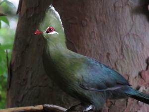 Lake Brenton Paradise