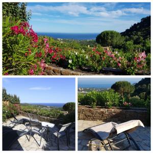 Maisons de vacances Villa Les Albizias : photos des chambres