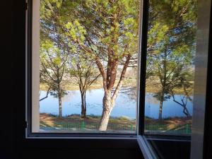 Maisons de vacances Maison d'une chambre avec vue sur le lac piscine partagee et jardin amenage a Hourtin : photos des chambres