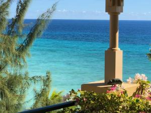 St Lawrence Gap, Christ Church, BB15020, Barbados.