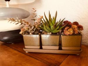 Maisons de vacances Cocon entre presqu'ile du Cap Ferret et plages oceanes - terrasse - 1 velo gratuit : photos des chambres