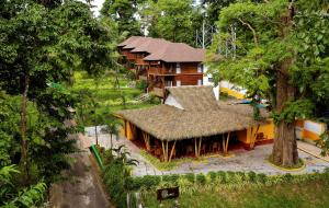 Big Tree Cottages