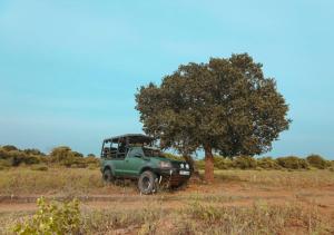 Tribe Yala - Luxury Camping