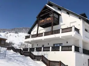 Domeniul Valea lupilor- Pensiunea Valea cu struti - 锡尔内亚