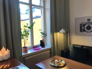 Bohemian and light one room apartment in SoFo 31sqm