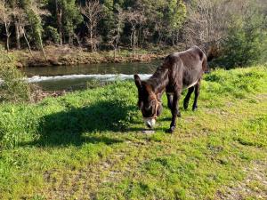 Quinta de Varzielas - Agroturismo
