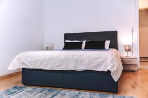 Messe Apartments in the center of basel