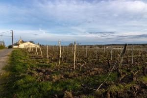 Maisons de vacances Maison chaleureuse-Grand jardin-Proche Saumur : photos des chambres