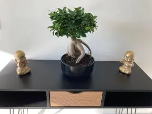 Gîte La Perrière Zen - La Bouexière