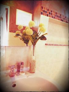 Thorfun Guesthouse in the Garden