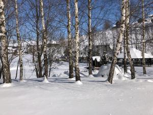 Domeniul Valea lupilor- Pensiunea Valea cu struti