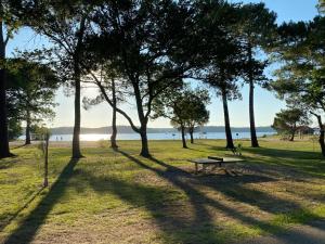 Maisons de vacances Cool Landes : photos des chambres